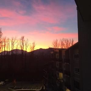 Meet your Posher, Carol anne